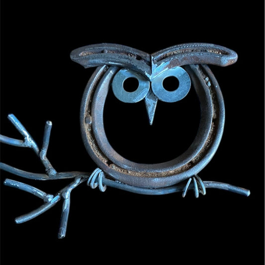 Horseshoe owl on a branch