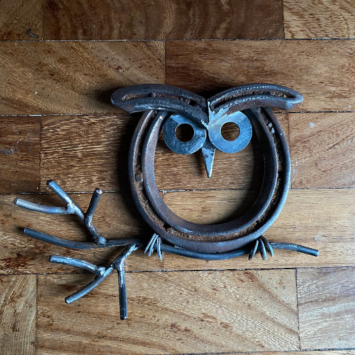 Horseshoe owl on a branch