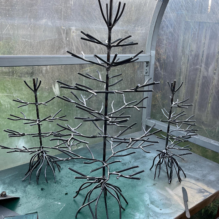 Large tree - regular spaced branches