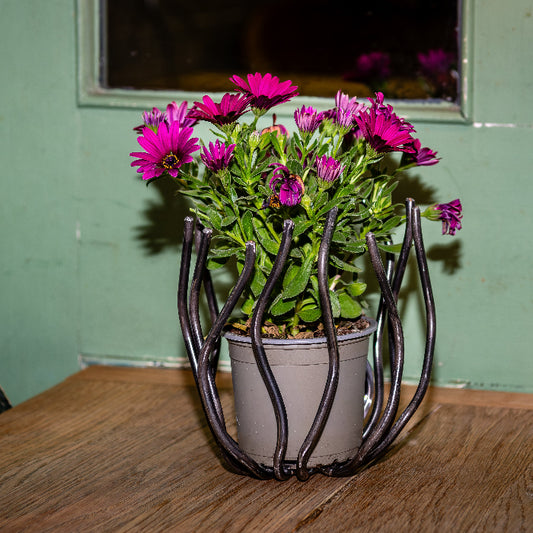 Metal Bowl – Small