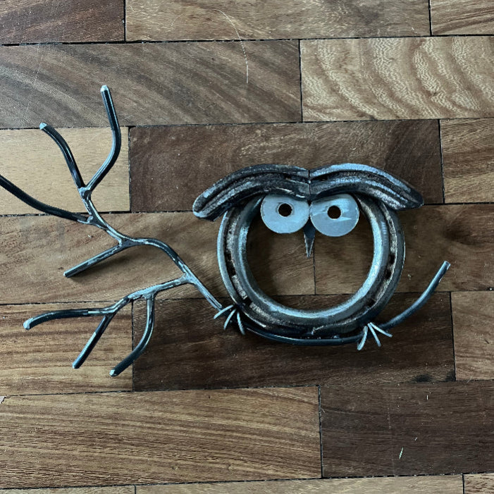 Horseshoe owl on a branch