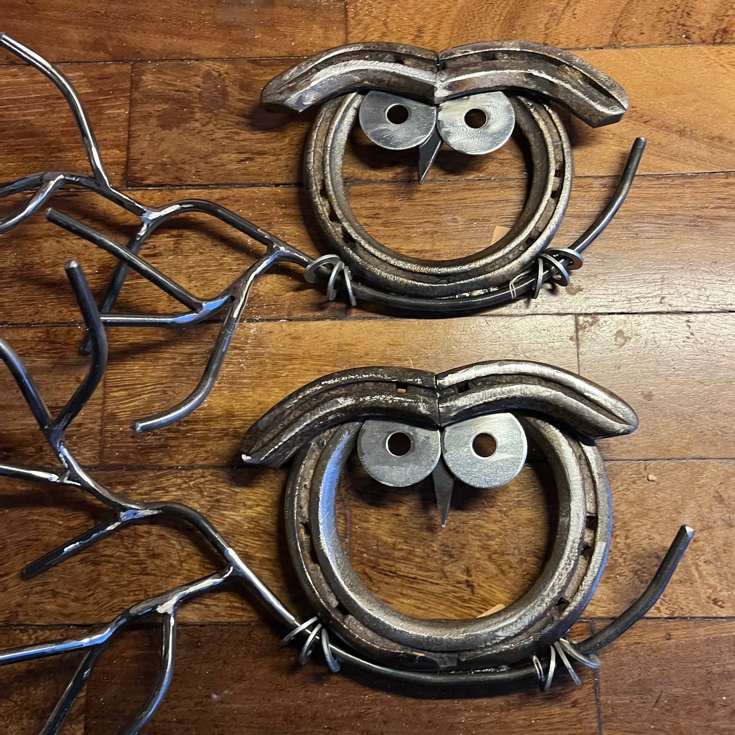 Horseshoe owl on a branch