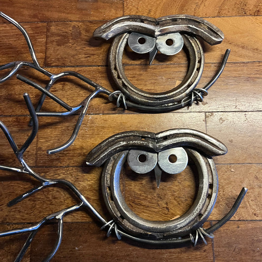 Horseshoe Owl on a Branch